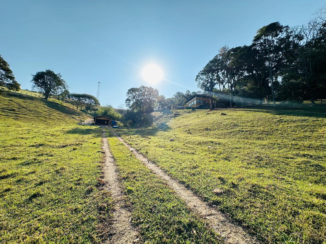 Chácara, 3 quartos, 3 hectares - Foto 16