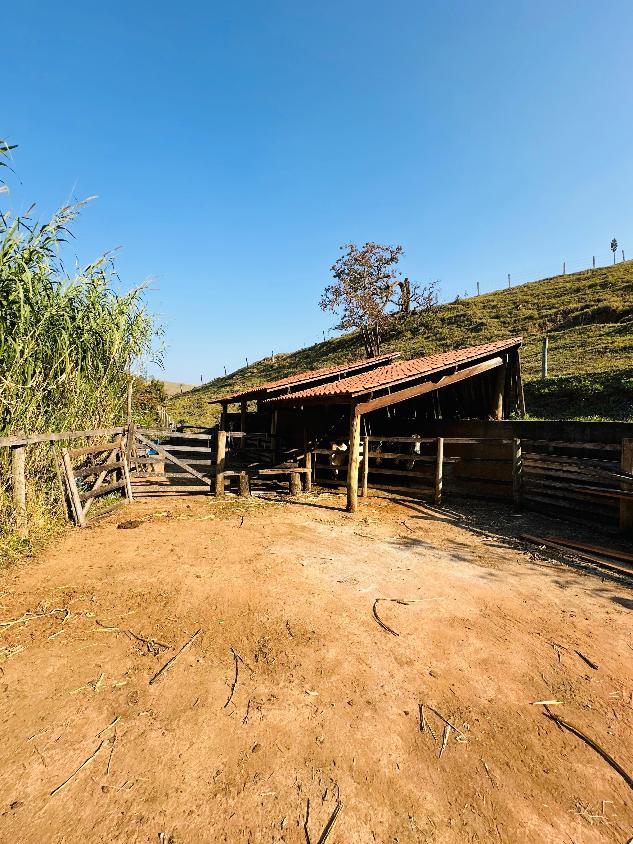 Chácara, 3 quartos, 3 hectares - Foto 17