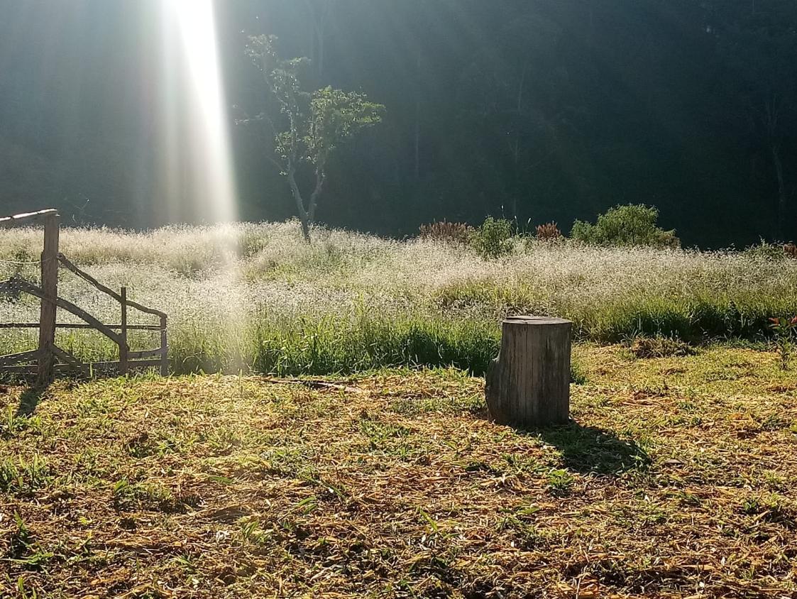 Chácara, 2 quartos, 2 hectares - Foto 3