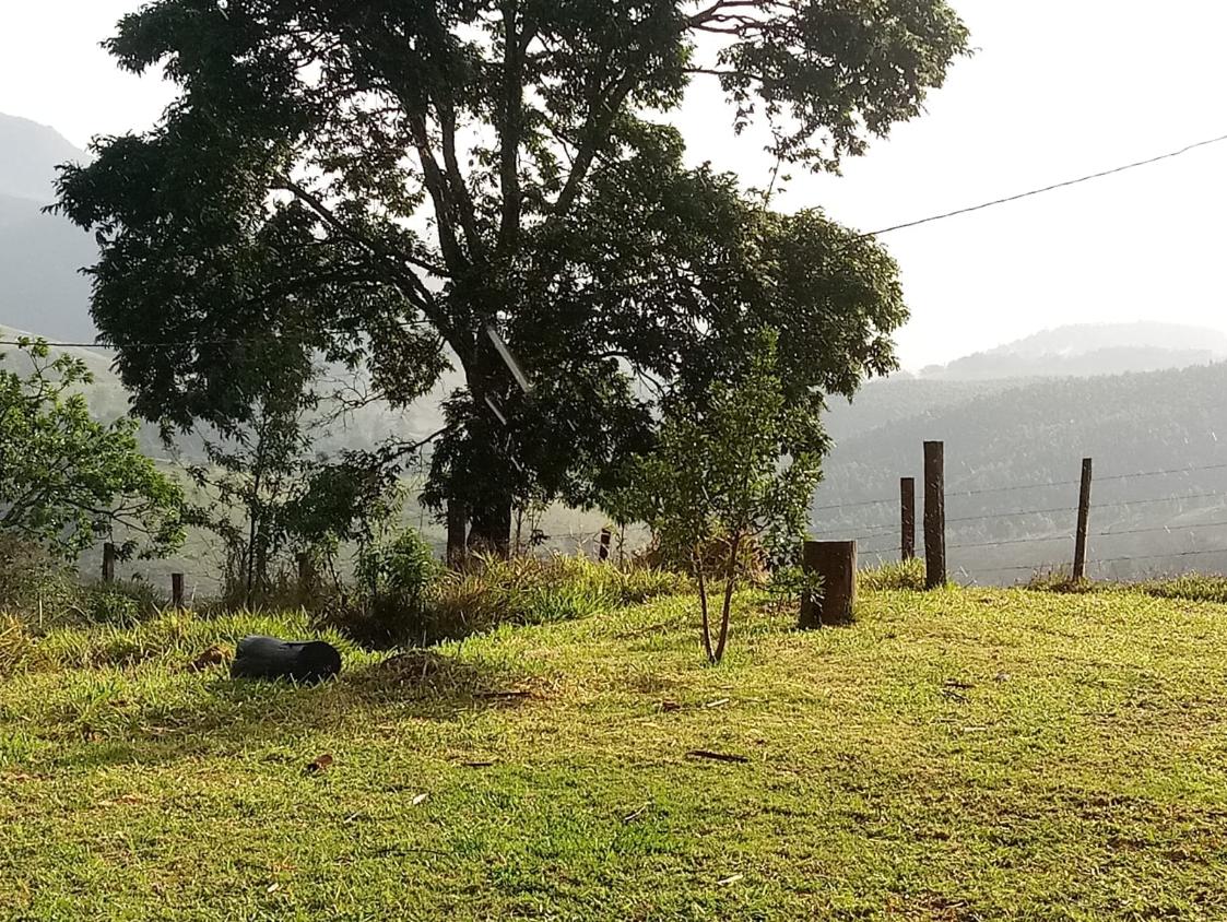 Chácara, 2 quartos, 2 hectares - Foto 5