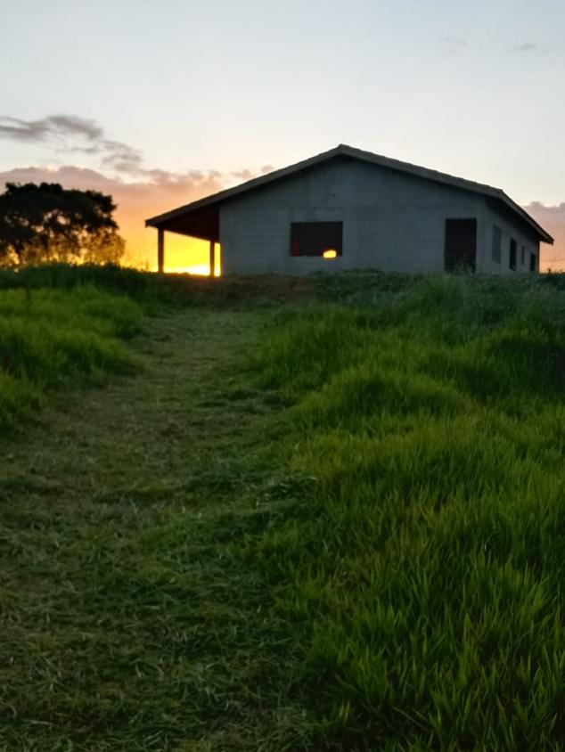 Chácara, 2 quartos, 2 hectares - Foto 8