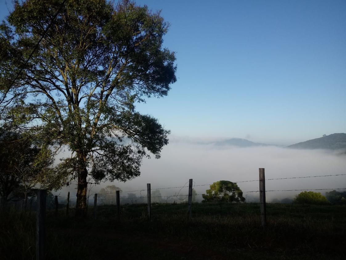 Chácara, 2 quartos, 2 hectares - Foto 14