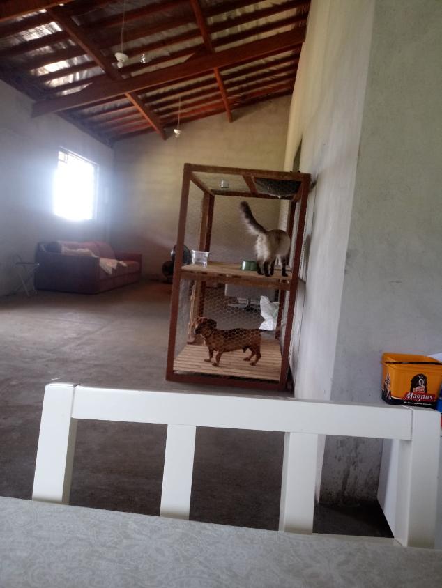 Chácara, 2 quartos, 2 hectares - Foto 16