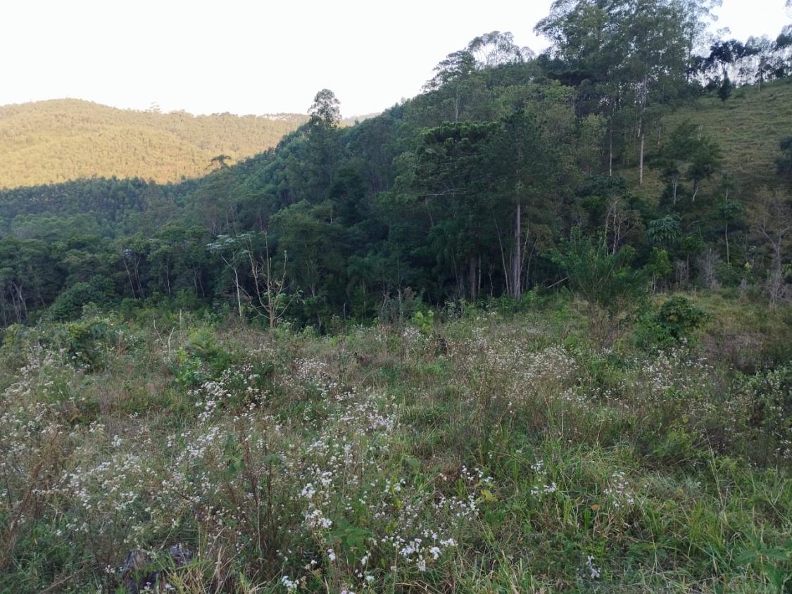 Chácara, 10 hectares - Foto 1