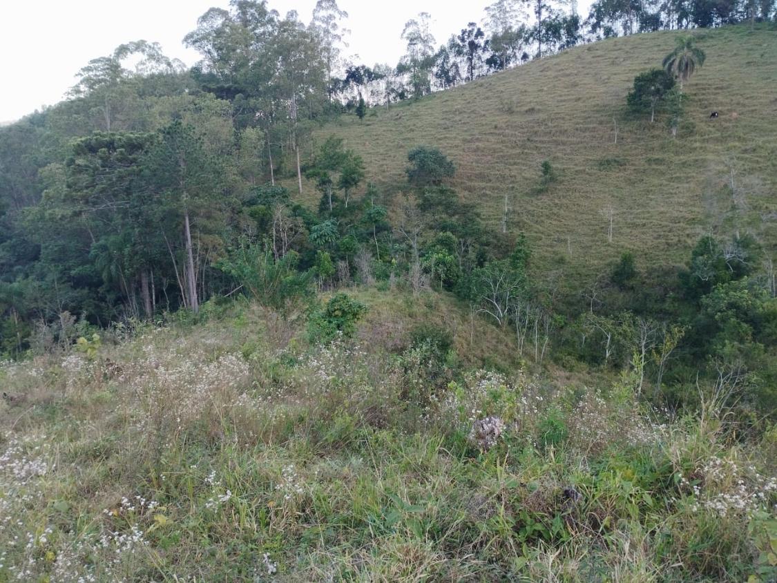 Chácara, 10 hectares - Foto 2