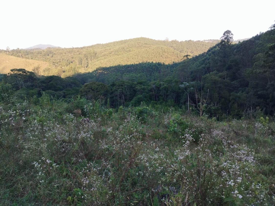 Chácara, 10 hectares - Foto 3