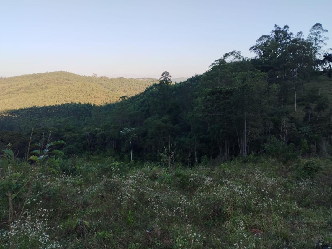 Chácara, 10 hectares - Foto 6