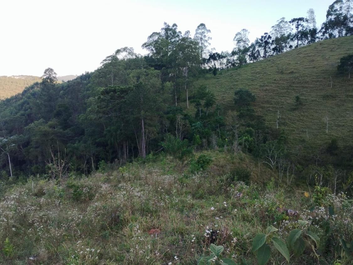 Chácara, 10 hectares - Foto 7