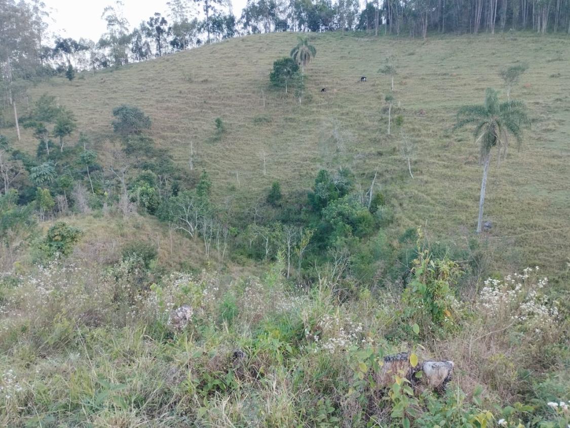 Chácara, 10 hectares - Foto 8