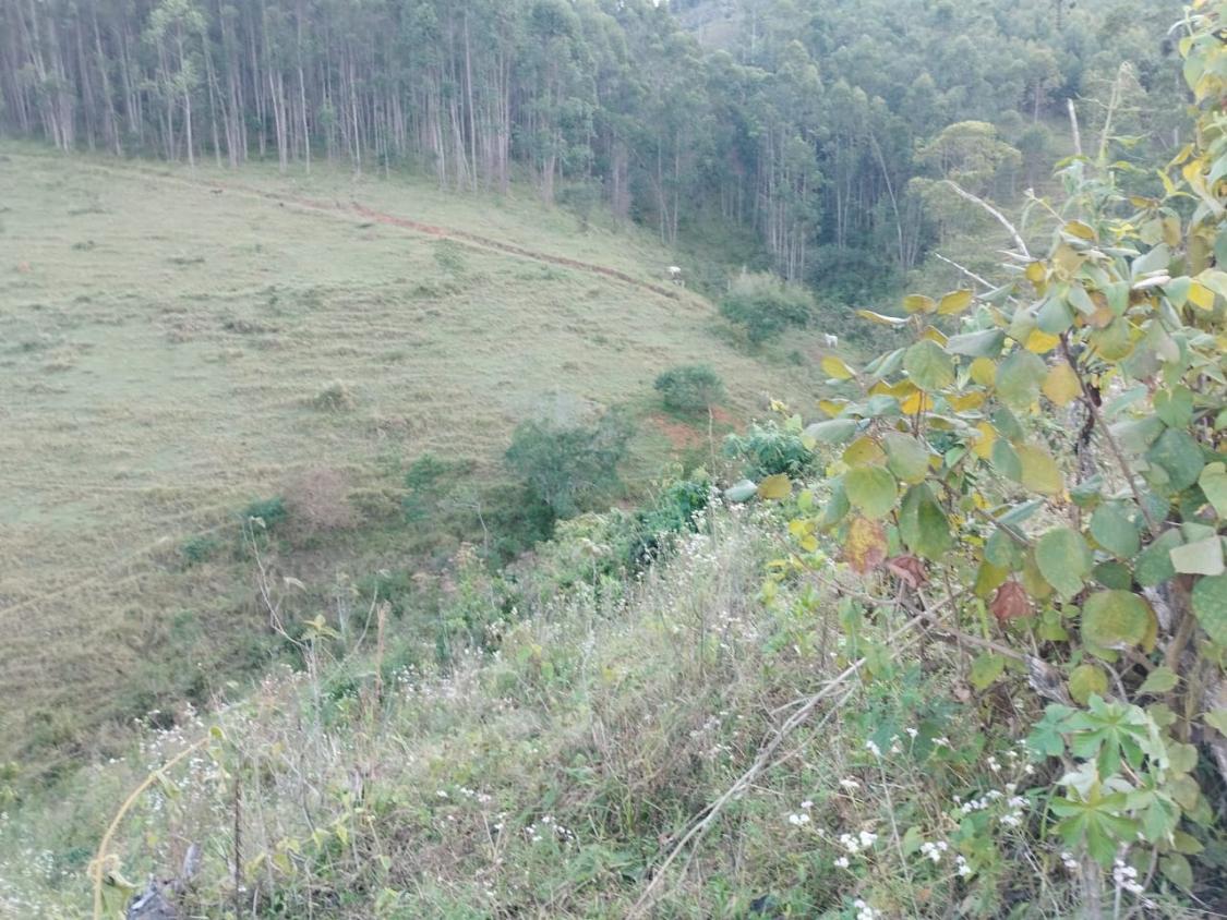 Chácara, 10 hectares - Foto 9