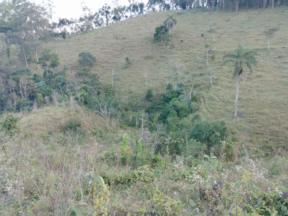 Chácara, 10 hectares - Foto 11