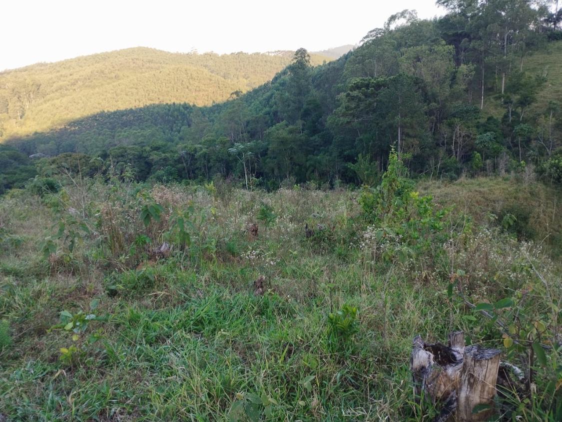 Chácara, 10 hectares - Foto 12