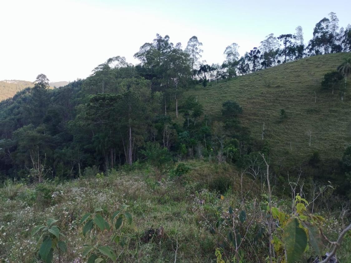 Chácara, 10 hectares - Foto 13