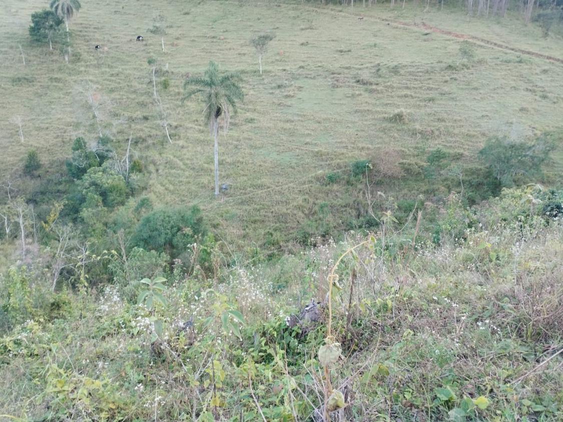 Chácara, 10 hectares - Foto 10