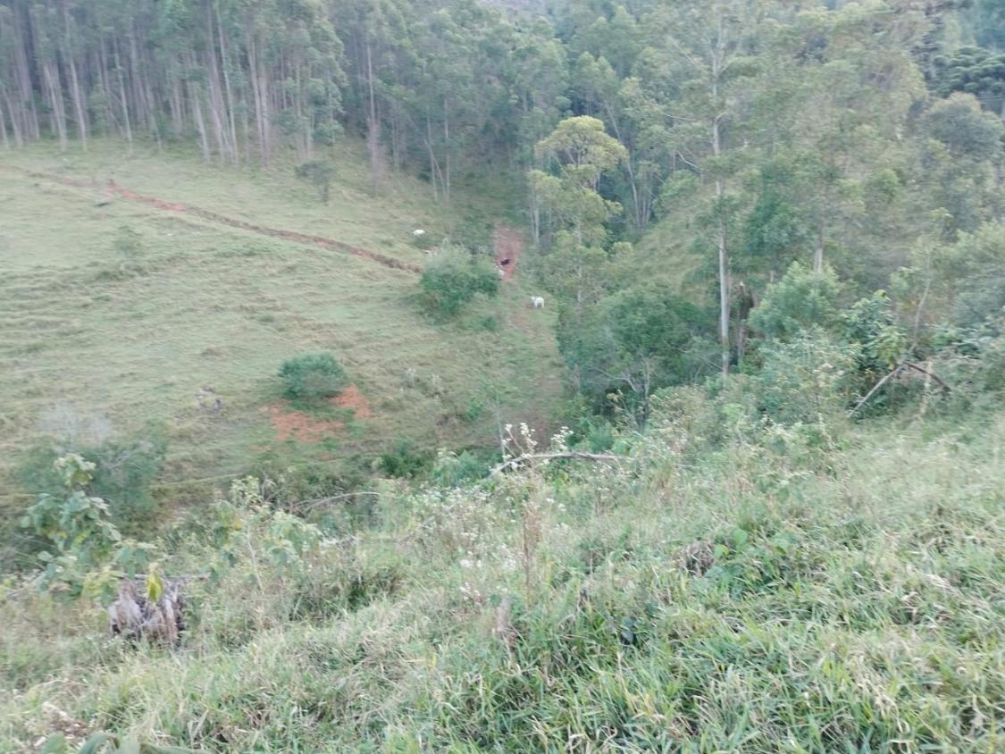 Chácara, 10 hectares - Foto 15