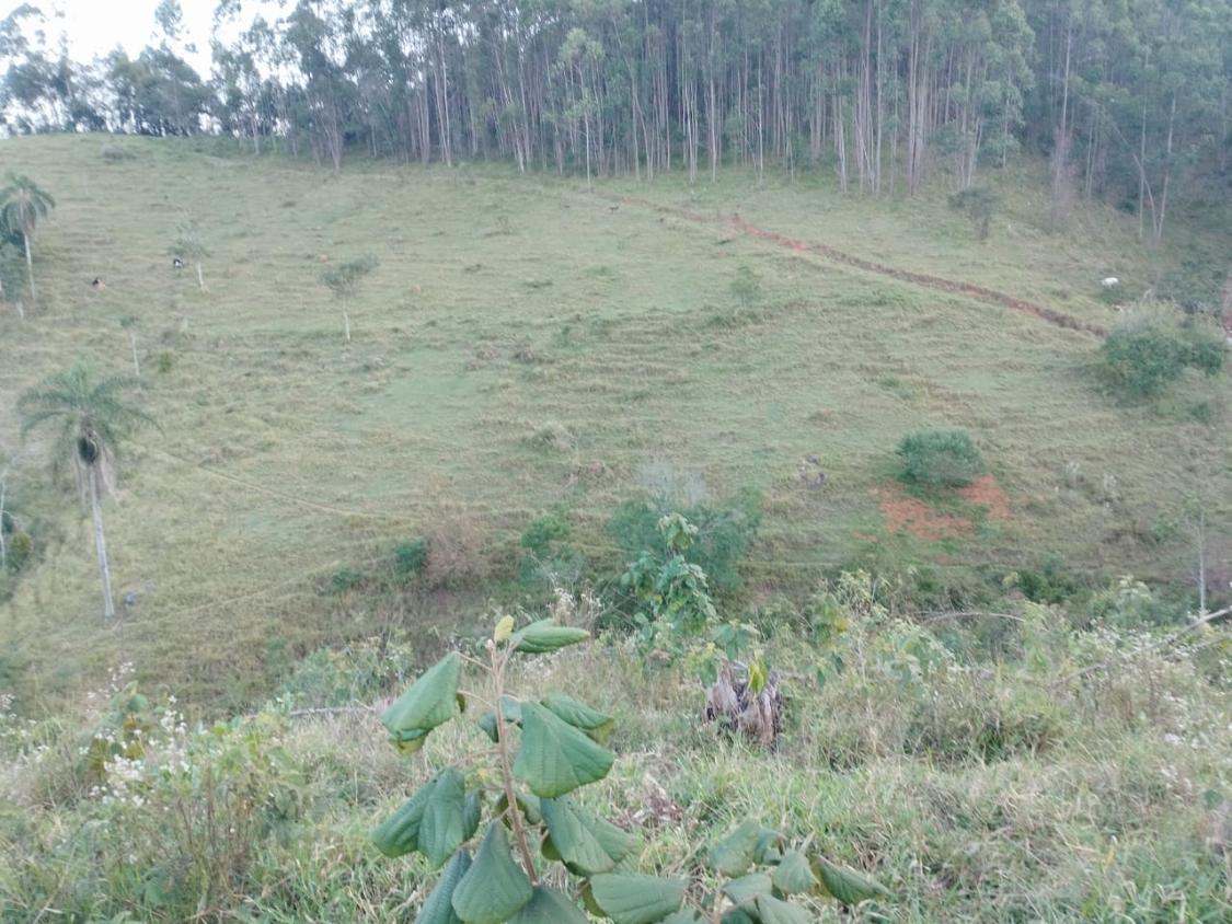 Chácara, 10 hectares - Foto 16