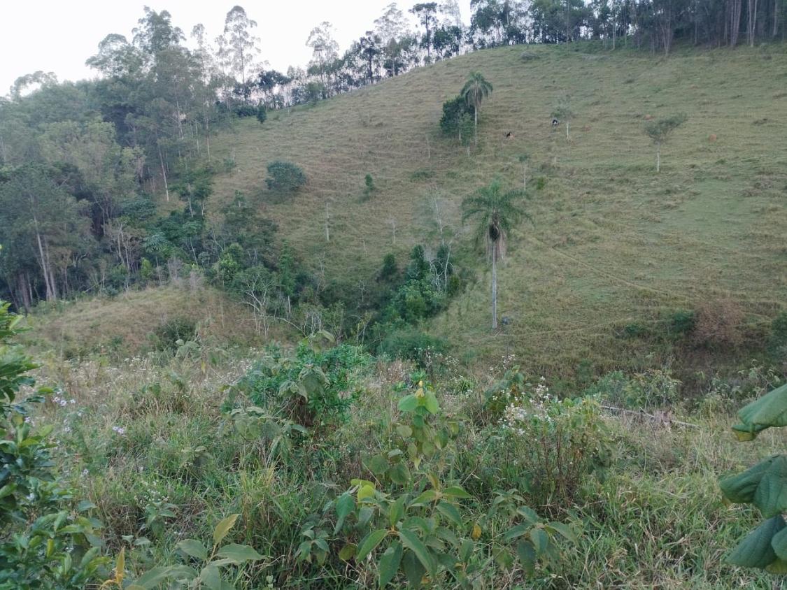 Chácara, 10 hectares - Foto 17