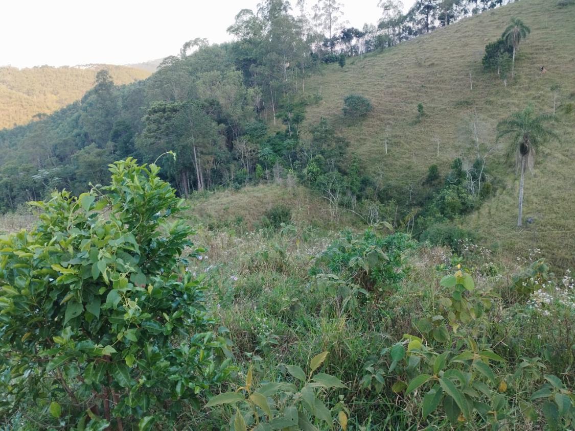 Chácara, 10 hectares - Foto 18