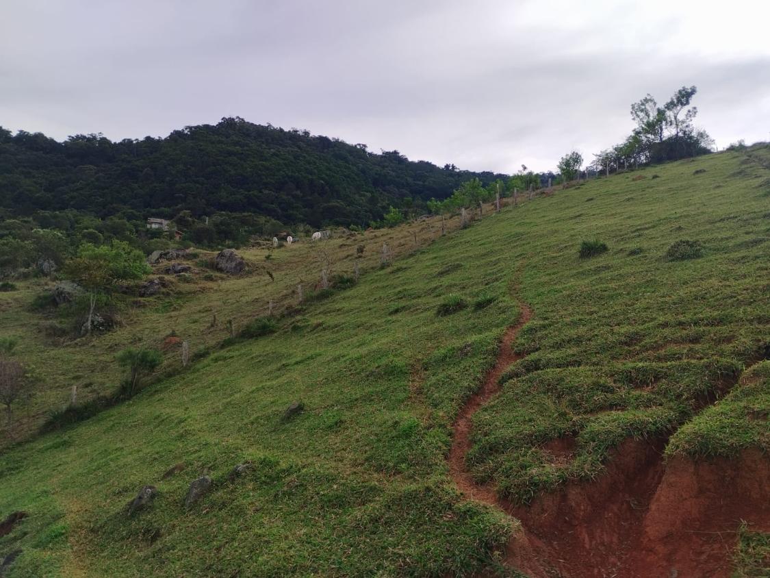 Terreno à venda, 20000m² - Foto 19