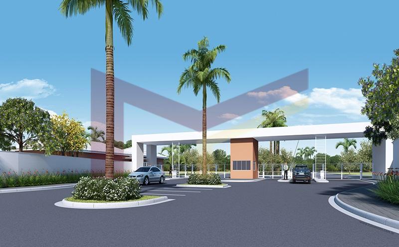 Terreno à venda, 250m² - Foto 1