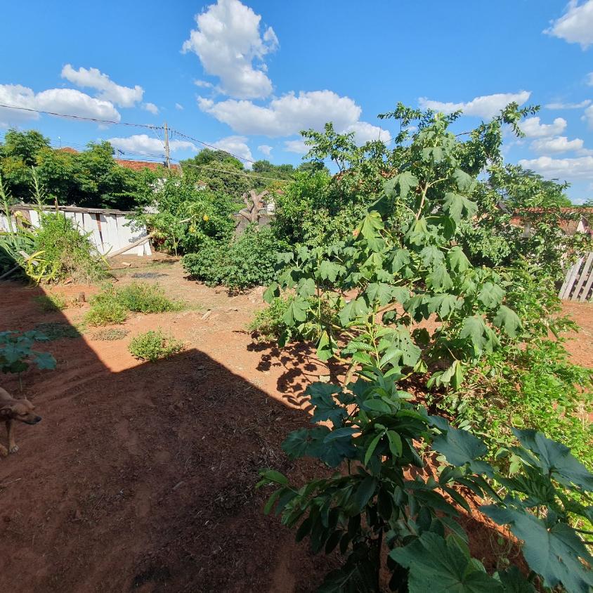 Terreno, 250 m² - Foto 5