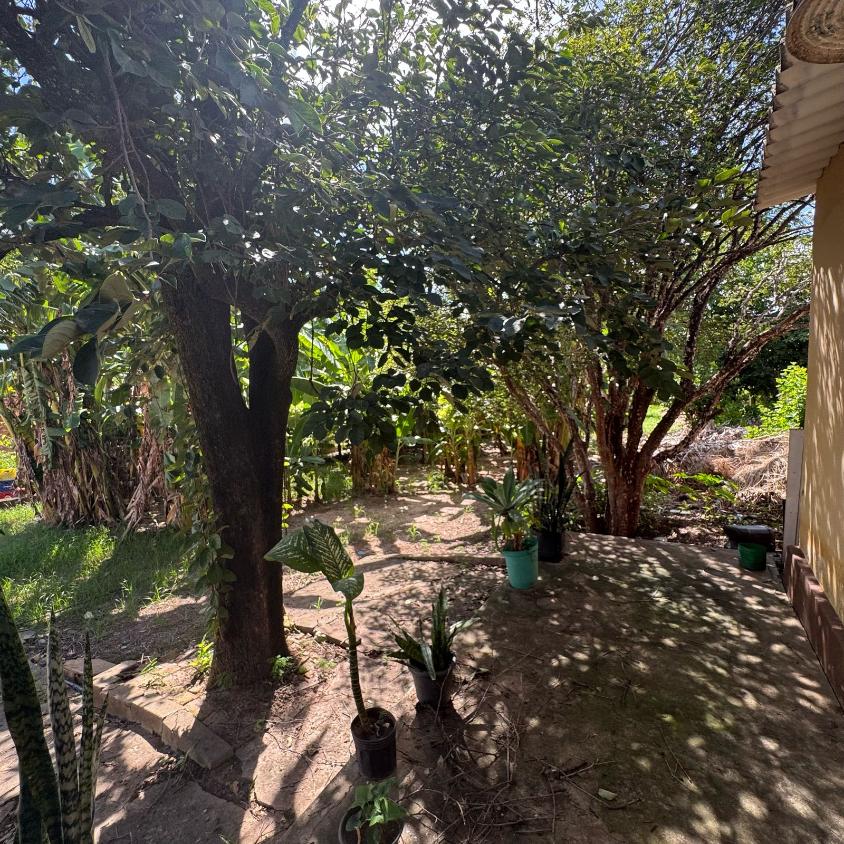 Chácara à venda com 4 quartos, 1600m² - Foto 4