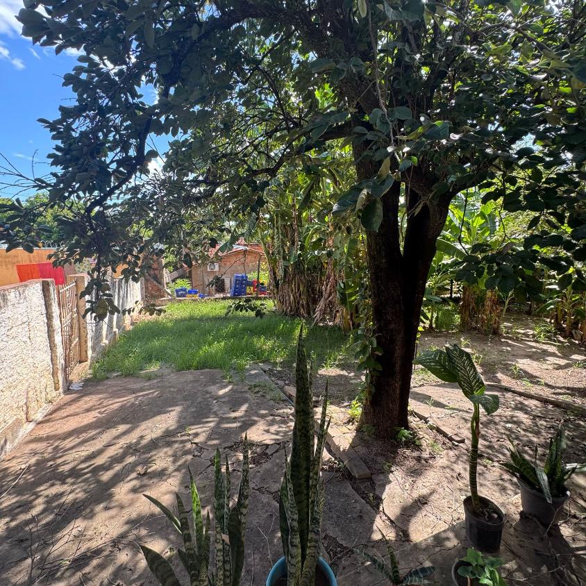 Chácara à venda com 4 quartos, 1600m² - Foto 5