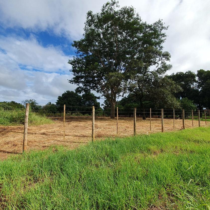 Terreno à venda, 300m² - Foto 2