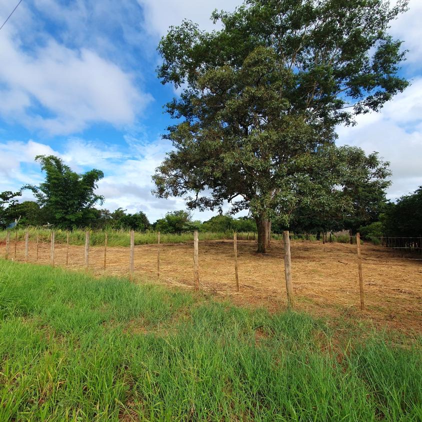 Terreno à venda, 300m² - Foto 4