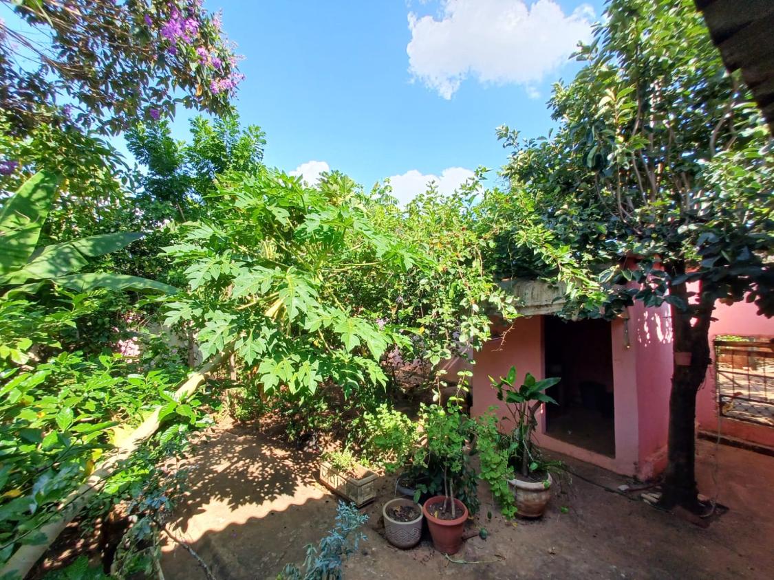 Casa à venda com 1 quarto, 460m² - Foto 11