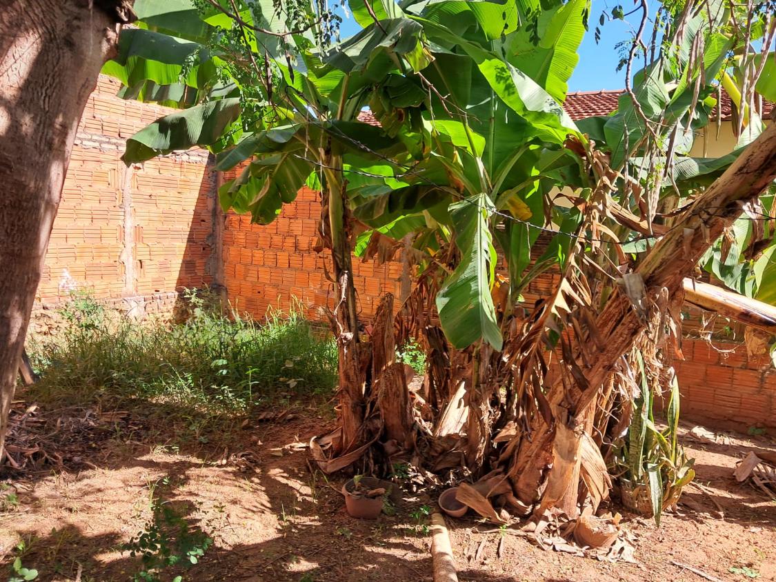 Prédio Inteiro à venda com 3 quartos - Foto 18