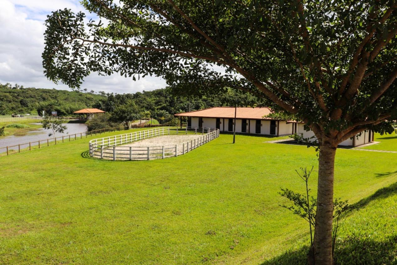 Terreno à venda, 535m² - Foto 7