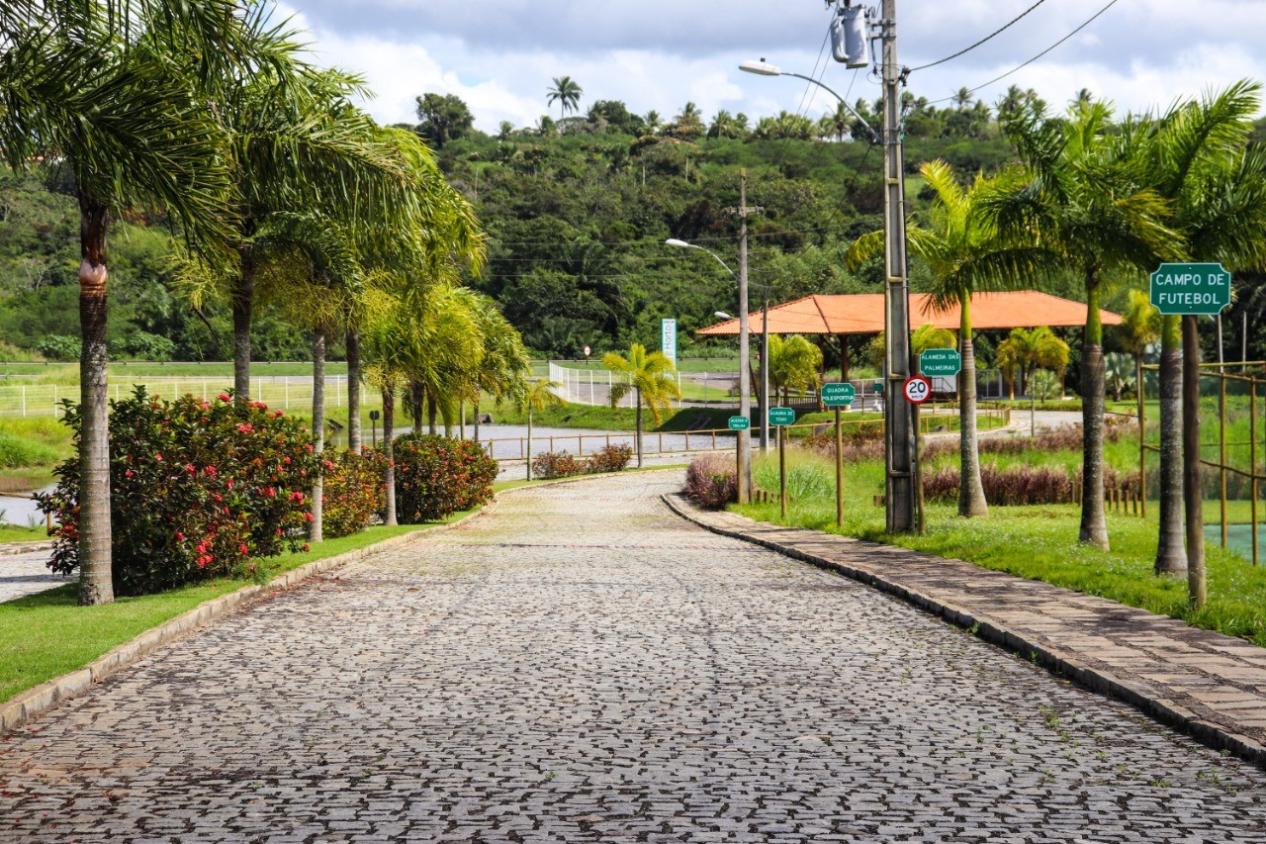 Terreno à venda, 535m² - Foto 4