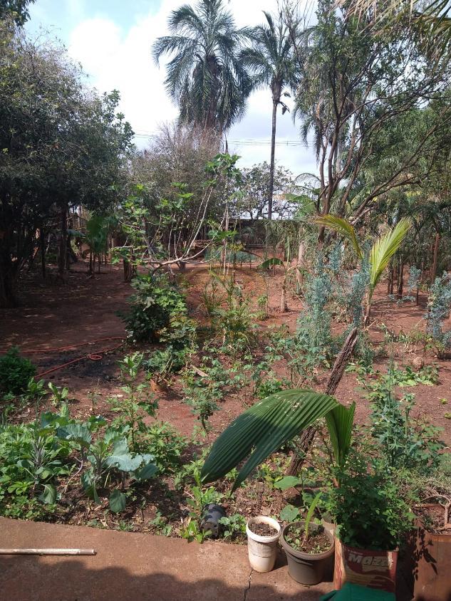 Chácara, 5 quartos, 1000 m² - Foto 18