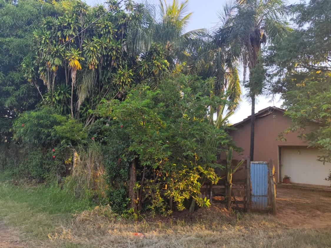 Sítio à venda com 2 quartos, 3600m² - Foto 4