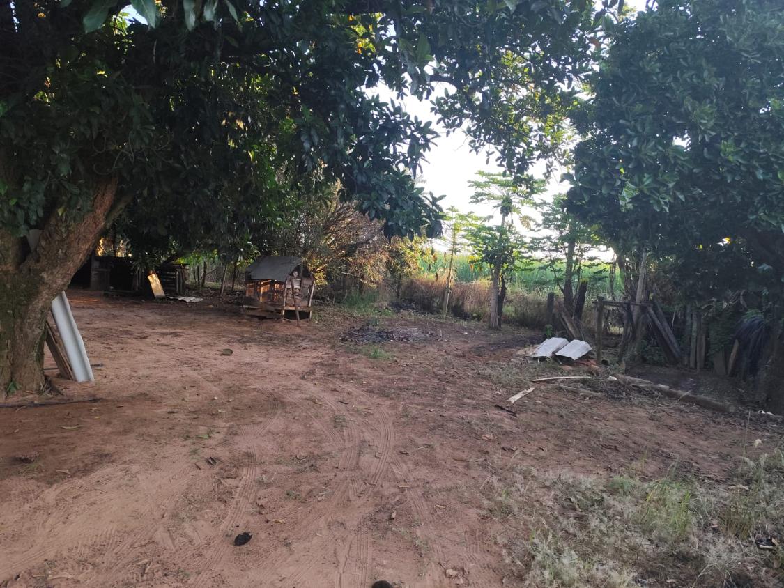 Sítio à venda com 2 quartos, 3600m² - Foto 11