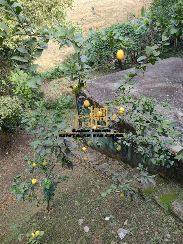 Casa de Condomínio à venda com 3 quartos, 114m² - Foto 34