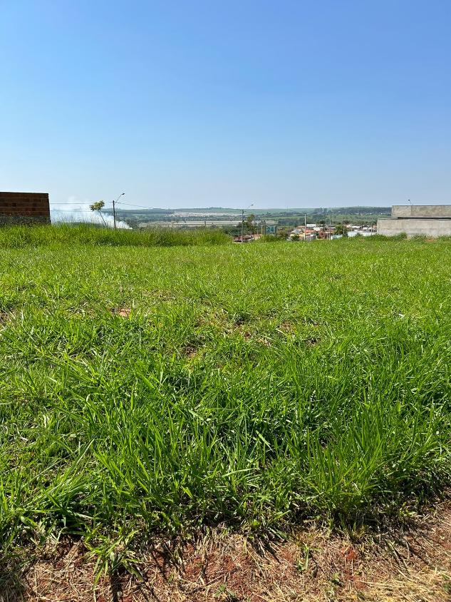 Terreno, 200 m² - Foto 7