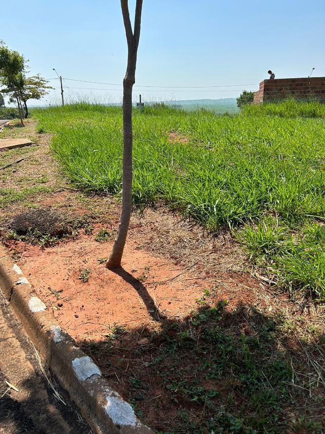 Terreno, 200 m² - Foto 8