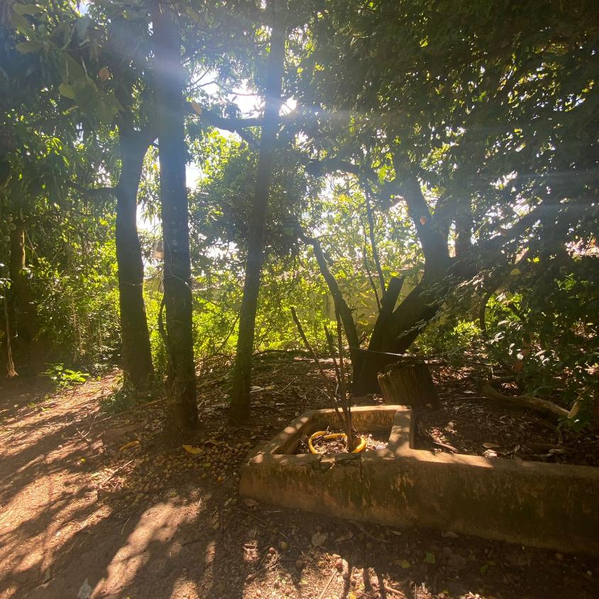 Loteamento e Condomínio à venda, 2304m² - Foto 8
