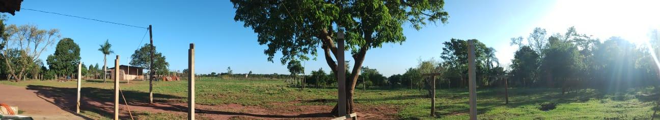 Chácara à venda com 3 quartos - Foto 13