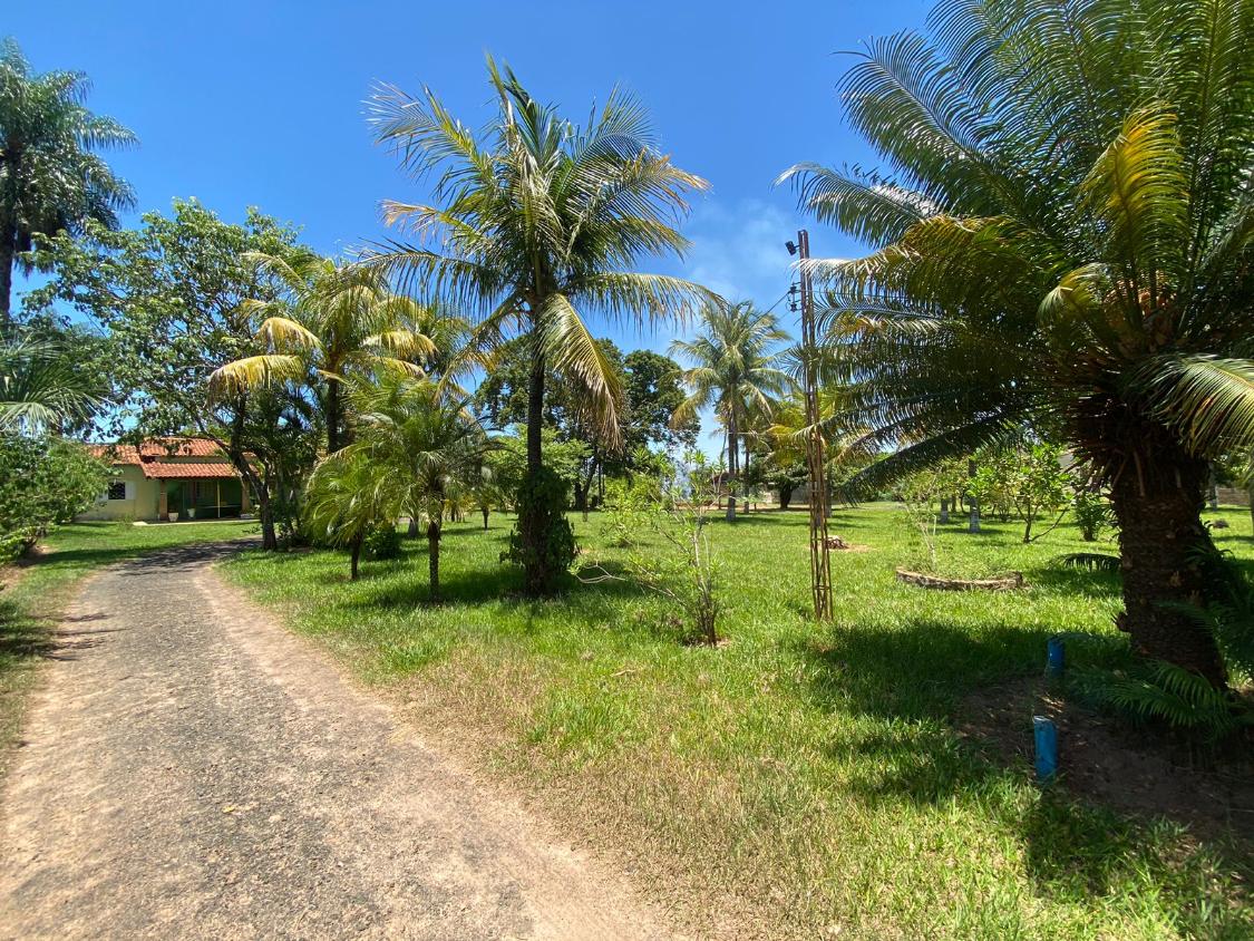 Chácara à venda com 2 quartos, 5850m² - Foto 4