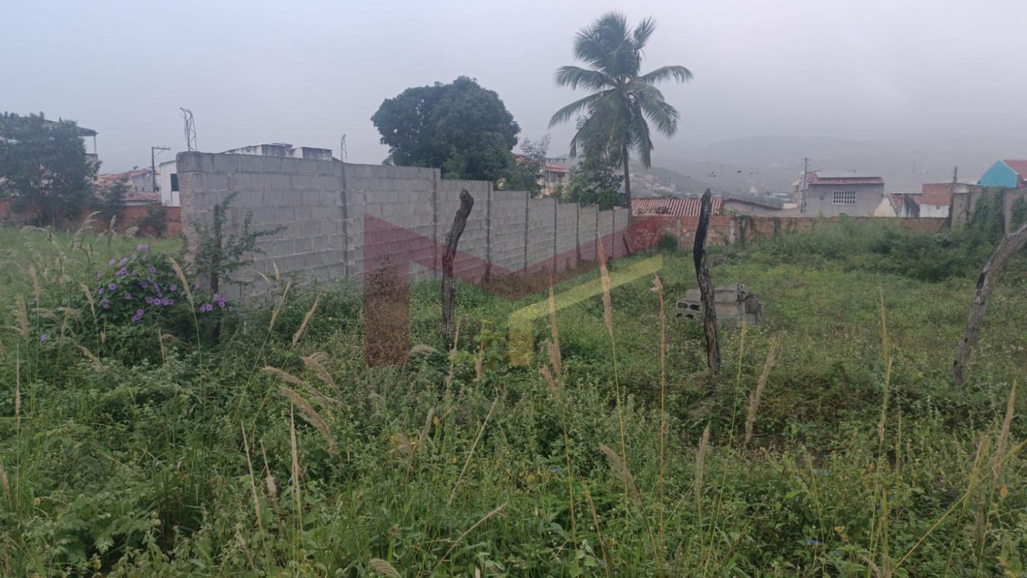 Terreno, 429 m² - Foto 3