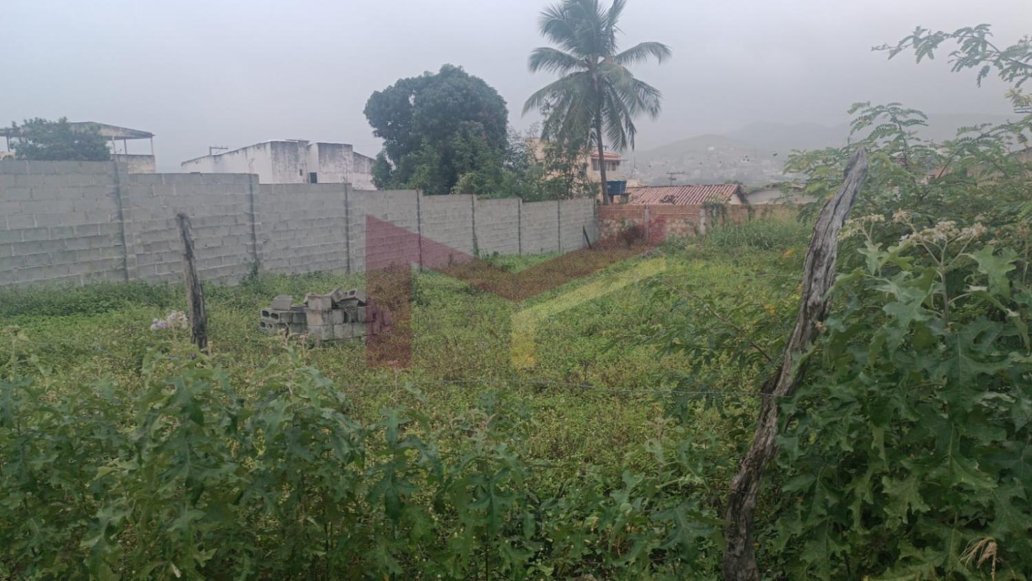 Terreno, 429 m² - Foto 7