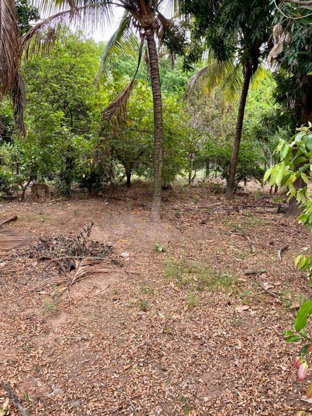 Fazenda à venda, 500m² - Foto 19