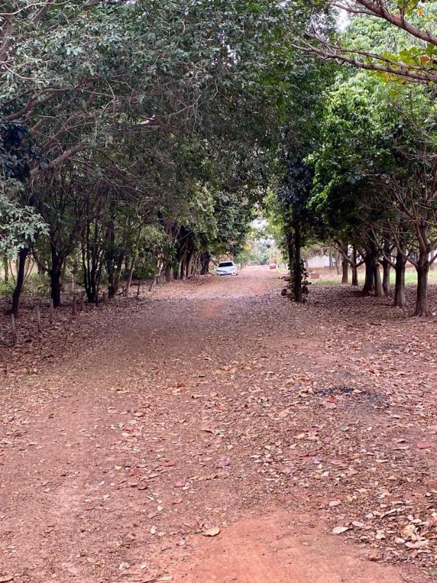 Fazenda à venda, 500m² - Foto 20