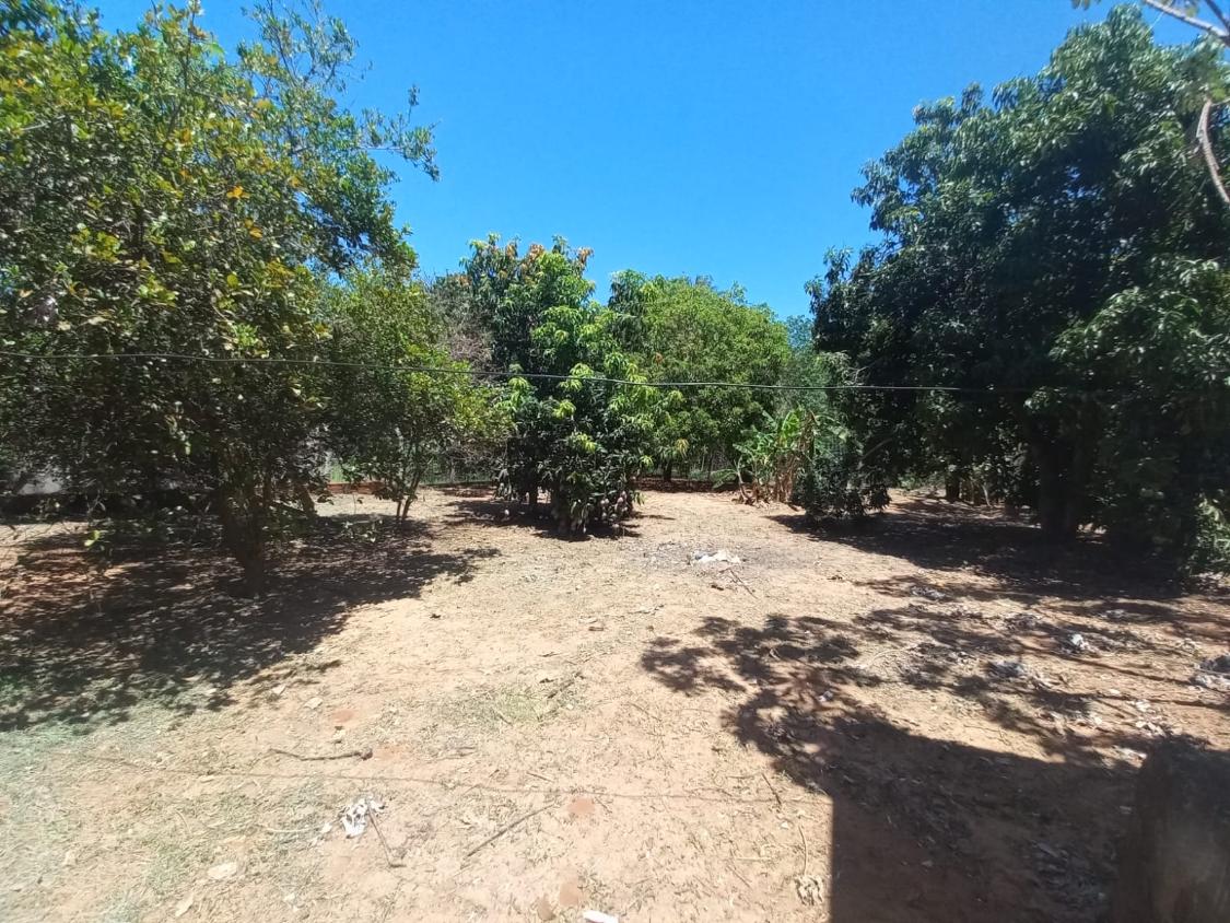 Chácara à venda com 3 quartos, 1000m² - Foto 13