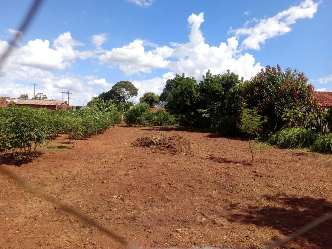 Terreno à venda, 243m² - Foto 2