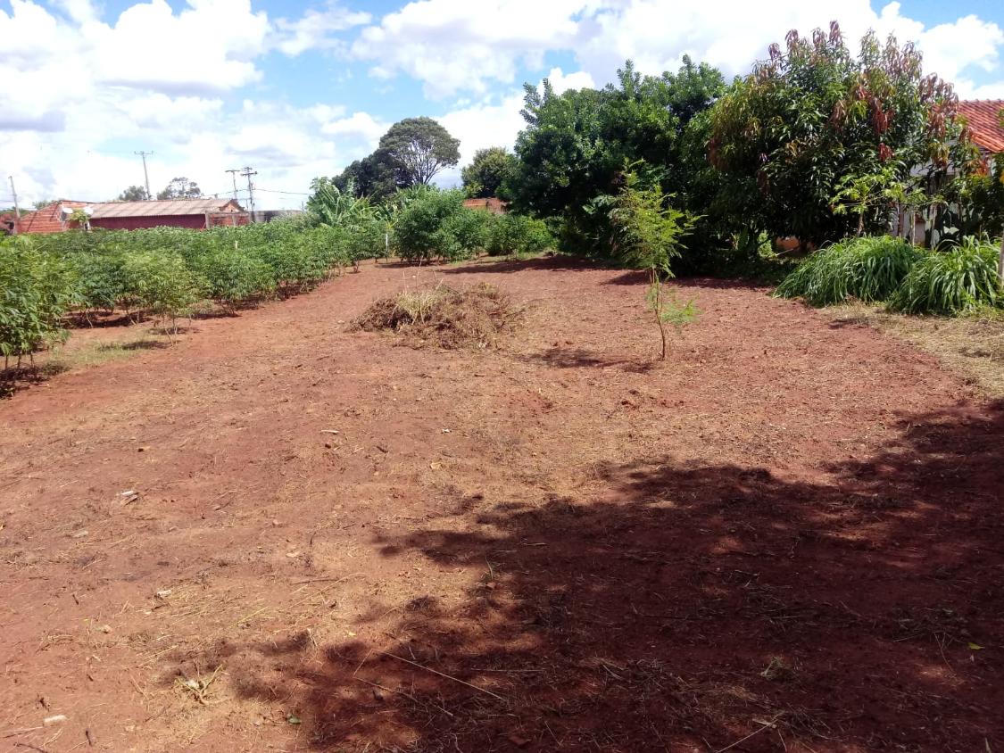 Terreno à venda, 243m² - Foto 1