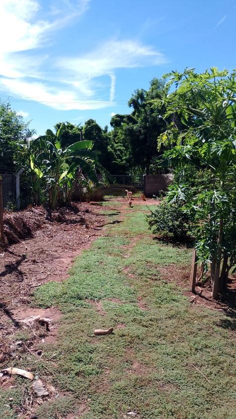 Chácara, 3 quartos, 1375 m² - Foto 10